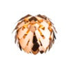 decoratief