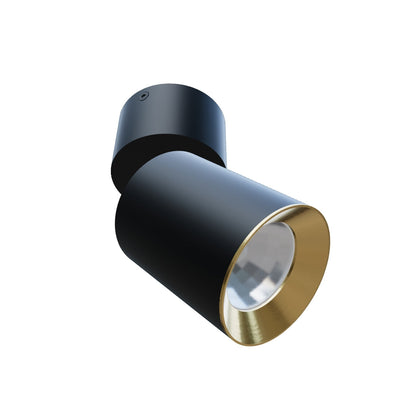 DARIO PLAFONDLAMP