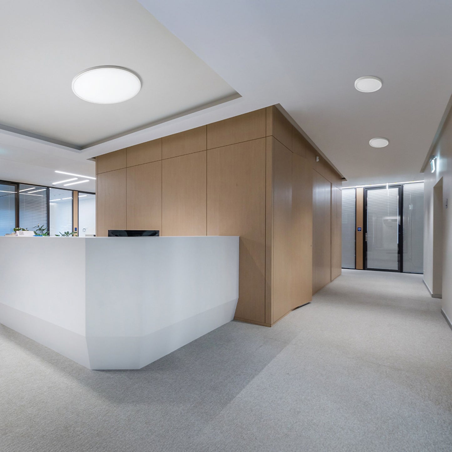 RENDL surface mounted lamp LANA 60 surface mounted white plastic 230V LED 50W 3000K 4000K 6000K R14299 7